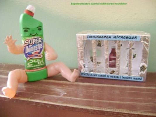 Domestos continuă campania de educare în şcolile constănţene